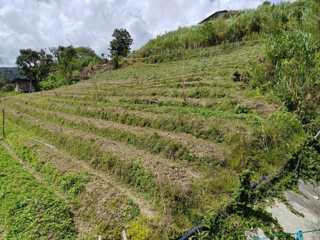 Kundasang Mount Garden Zewnętrze zdjęcie
